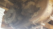 Enlarge photo 26