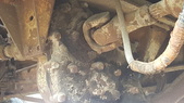 Enlarge photo 24