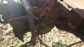Enlarge photo 52