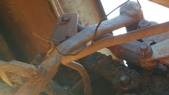 Enlarge photo 46