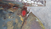 Enlarge photo 35