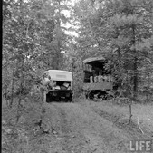Enlarge photo 156