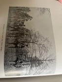 Enlarge photo 214