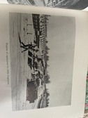 Enlarge photo 209