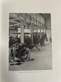 Enlarge photo 81