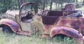 Enlarge photo 181