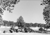 Enlarge photo 131