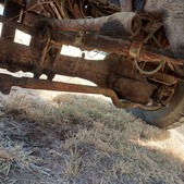 Enlarge photo 46