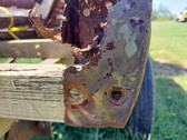 Enlarge photo 92