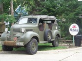 Enlarge photo 48