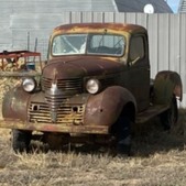 Enlarge photo 42
