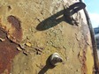 Enlarge photo 94
