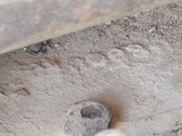 Enlarge photo 40