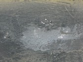 Enlarge photo 69
