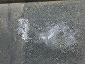 Enlarge photo 66