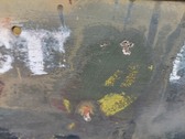 Enlarge photo 61