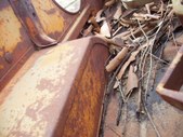 Enlarge photo 71