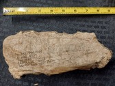 Enlarge photo 29