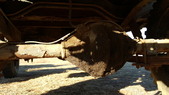 Enlarge photo 42