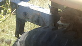 Enlarge photo 62