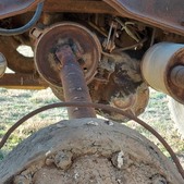 Enlarge photo 57