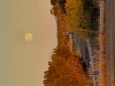 Enlarge photo 59