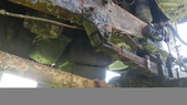 Enlarge photo 43