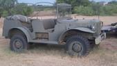 3/4 ton Command Car #2 (Lou)