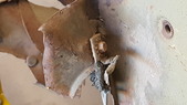 Enlarge photo 35