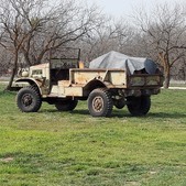 Enlarge photo 61