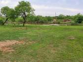 Enlarge photo 35