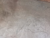 Enlarge photo 41