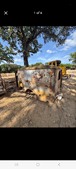 Enlarge photo 109