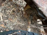 Enlarge photo 10
