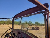 Enlarge photo 53