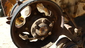 Enlarge photo 31