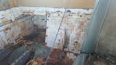 Enlarge photo 33