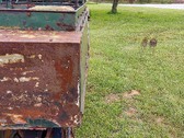 Enlarge photo 45