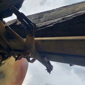 Enlarge photo 23