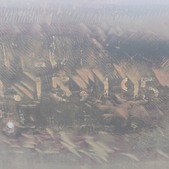 Enlarge photo 38