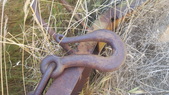Enlarge photo 17