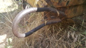 Enlarge photo 10