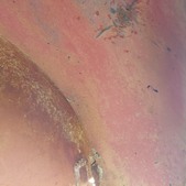 Enlarge photo 48
