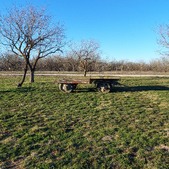 Enlarge photo 77
