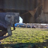 Enlarge photo 63