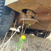Enlarge photo 35