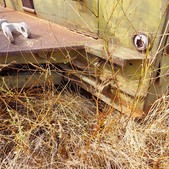 Enlarge photo 20