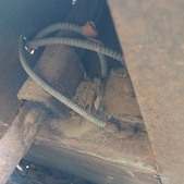 Enlarge photo 47
