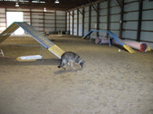 Enlarge photo 14