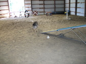 Enlarge photo 16